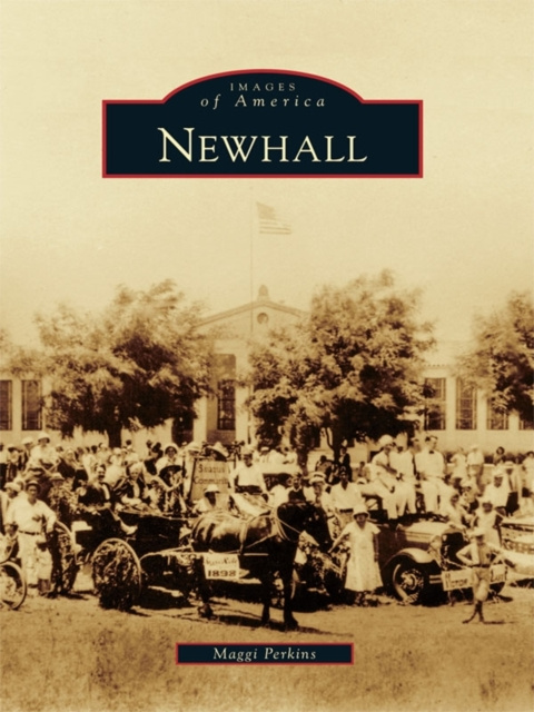 E-book Newhall Maggi Perkins