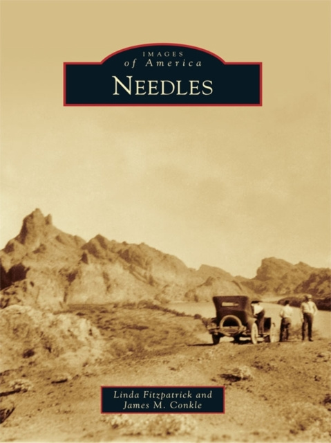 E-book Needles James M. Conkle