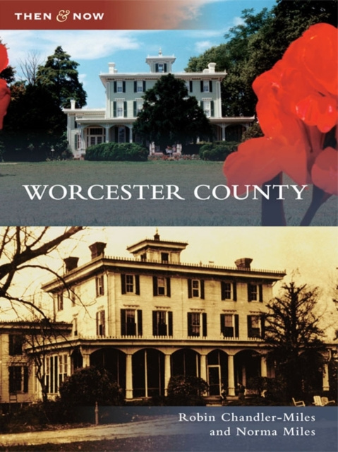 E-knjiga Worcester County Robin Chandler-Miles
