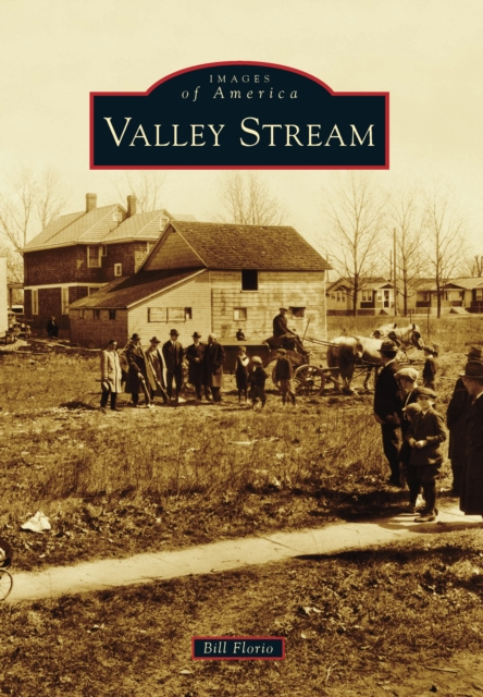 E-knjiga Valley Stream Bill Florio