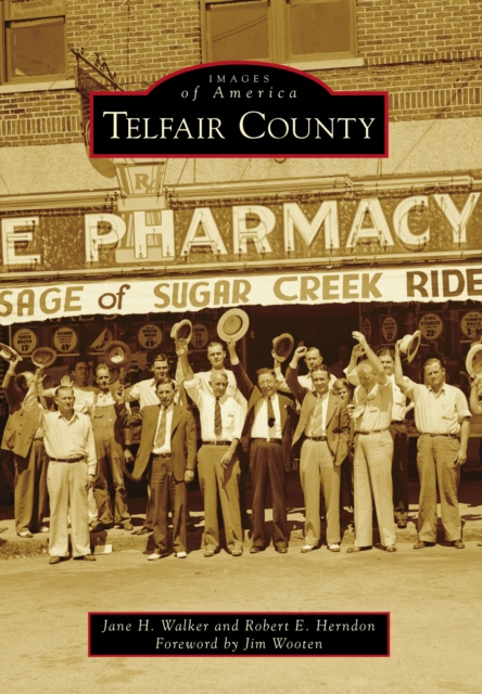 E-book Telfair County Jane H. Walker