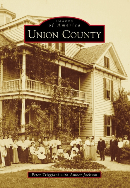 E-book Union County Peter Triggiani