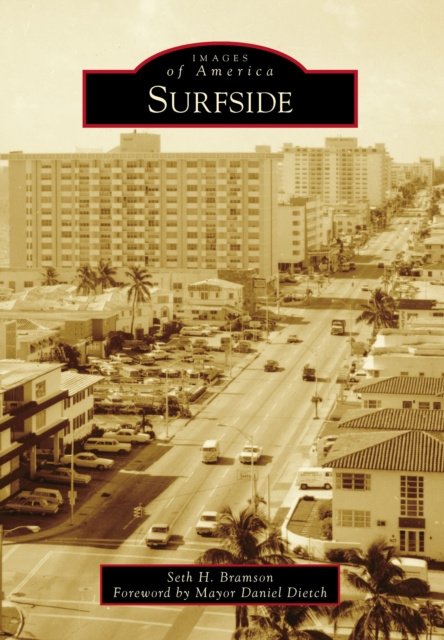 E-book Surfside Seth H. Bramson