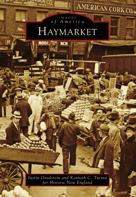 E-book Haymarket Justin Goodstein