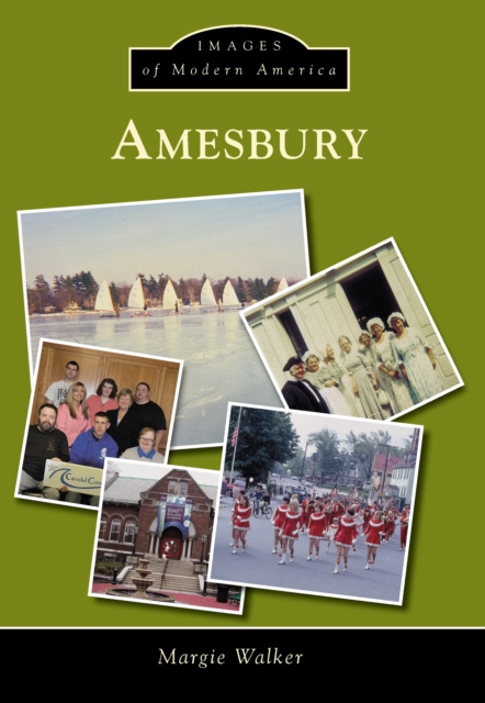 E-book Amesbury Margie Walker