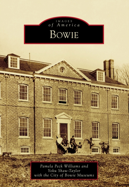 E-book Bowie Pamela Peck Williams