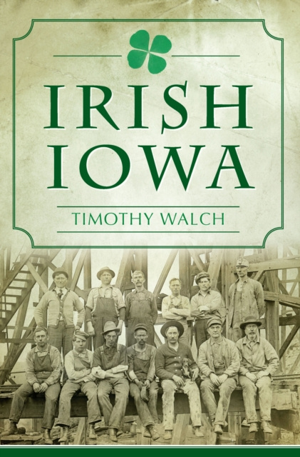 E-kniha Irish Iowa Timothy Walch