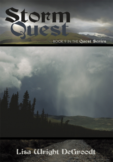 E-book Storm Quest Lisa Wright DeGroodt