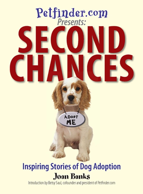 E-knjiga Second Chances Joan Banks
