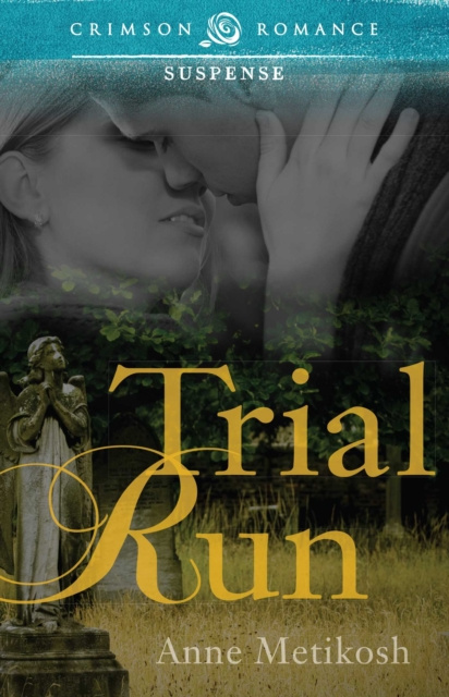 E-book Trial Run Anne Metikosh