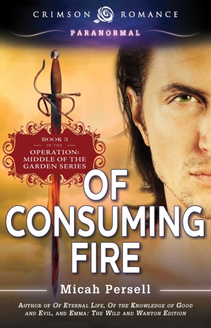 E-book Of Consuming Fire Micah Persell