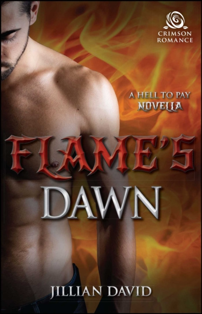 E-knjiga Flame's Dawn Jillian David