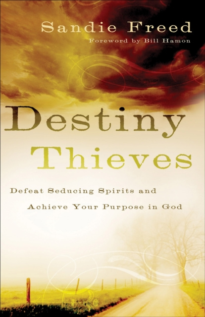 E-knjiga Destiny Thieves Sandie Freed