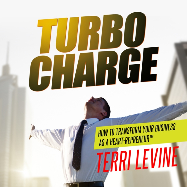 Аудиокнига Turbo Charge Terri Levine