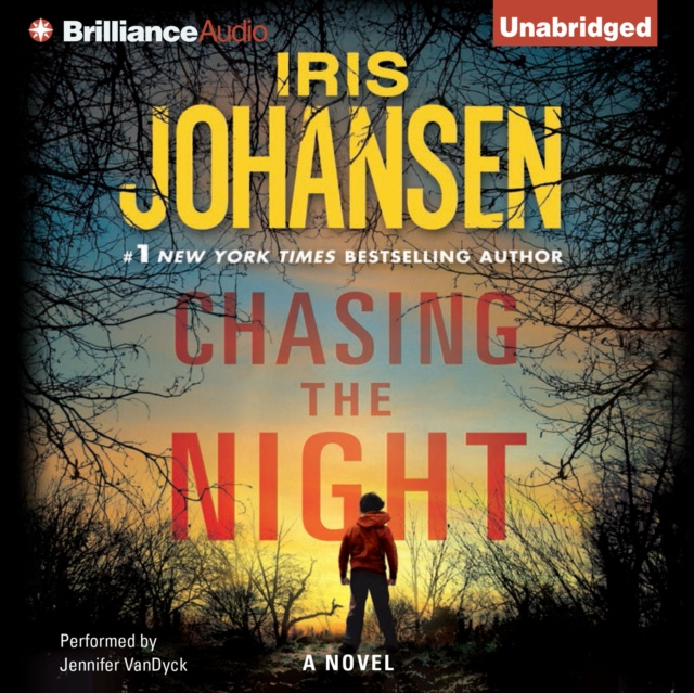 Audiokniha Chasing the Night Iris Johansen