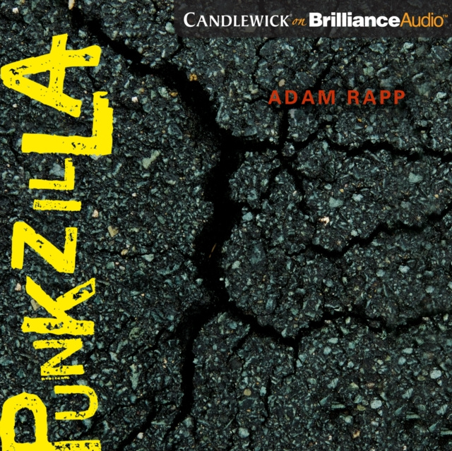 Audiobook Punkzilla Adam Rapp