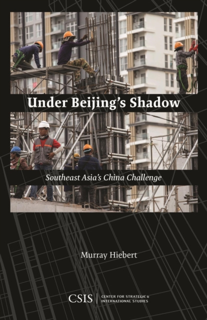 E-Book Under Beijing's Shadow Murray Hiebert