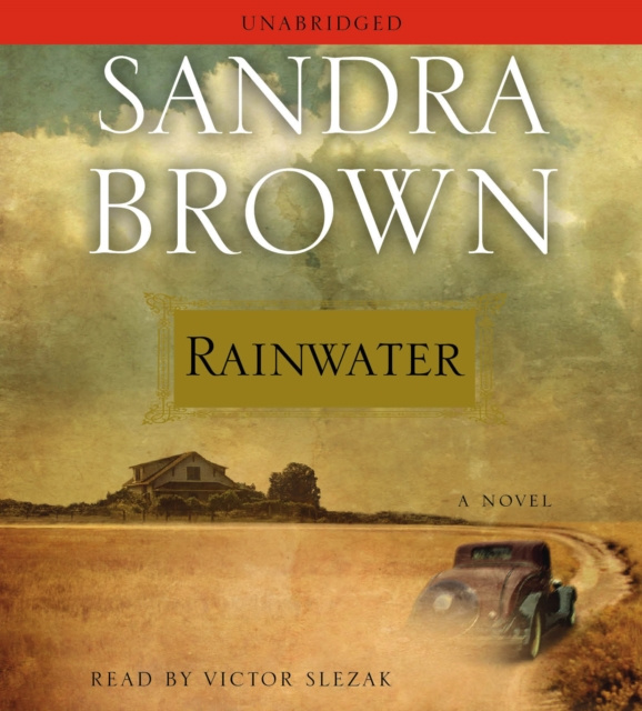 Hörbuch Rainwater Sandra Brown