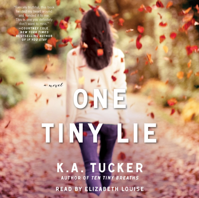 Audiokniha One Tiny Lie K.A. Tucker