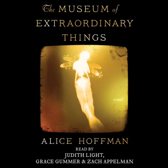 Audiolibro Museum of Extraordinary Things Alice Hoffman