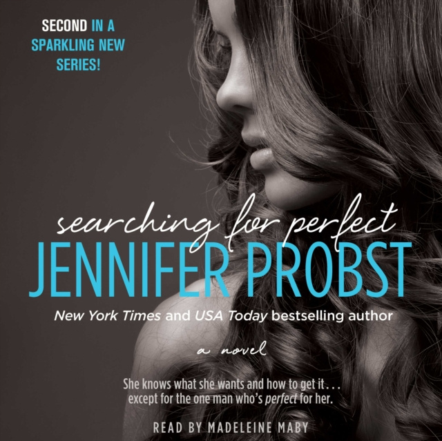 Hörbuch Searching for Perfect Jennifer Probst