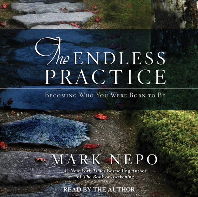 Audiokniha Endless Practice Mark Nepo