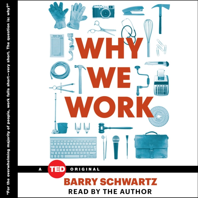 Audiokniha Why We Work Barry Schwartz