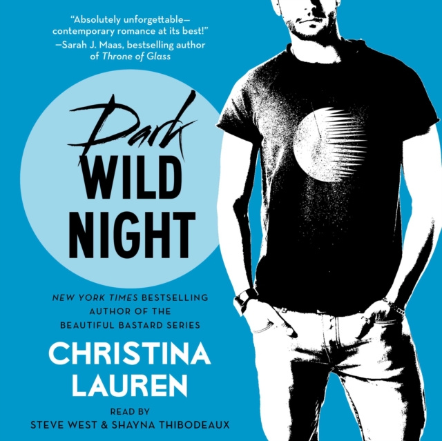 Audiokniha Dark Wild Night Christina Lauren