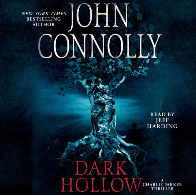 Audiobook Dark Hollow John Connolly