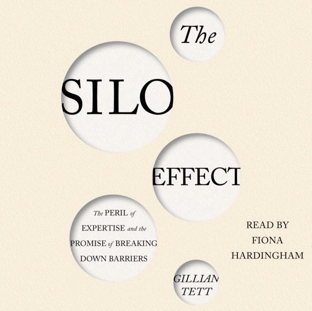 Audiokniha Silo Effect Gillian Tett