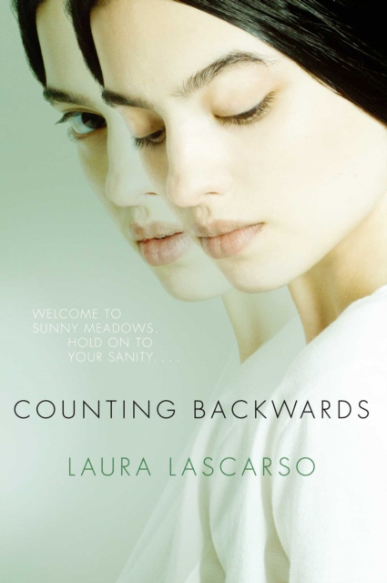 E-book Counting Backwards Laura Lascarso