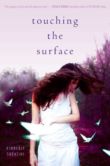E-book Touching the Surface Kimberly Sabatini