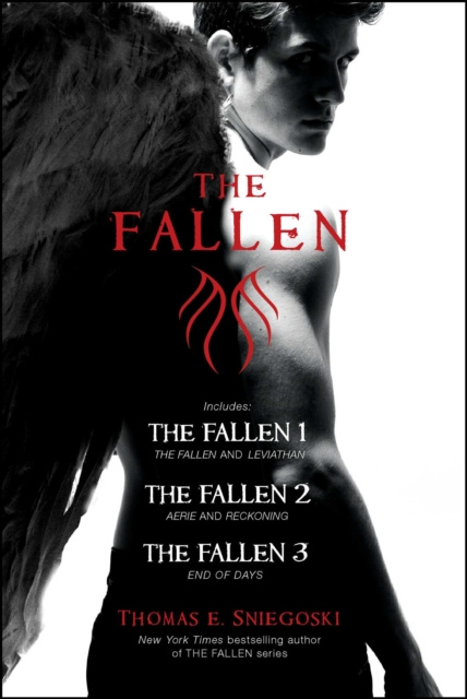 Libro elettronico Fallen Thomas E. Sniegoski