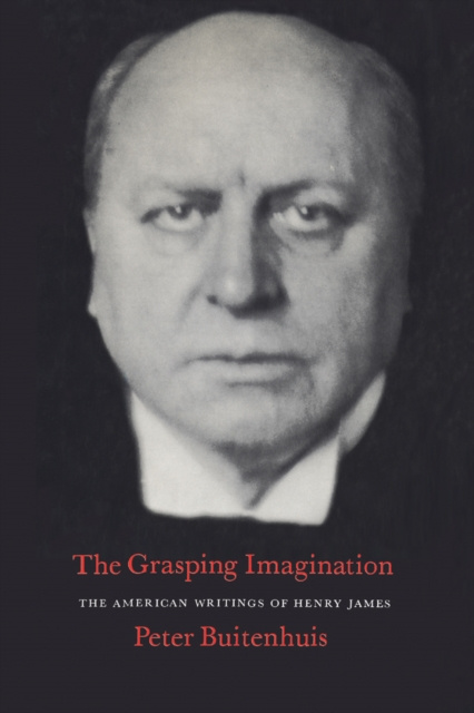 E-knjiga Grasping Imagination Peter Martinus Buitenhuis
