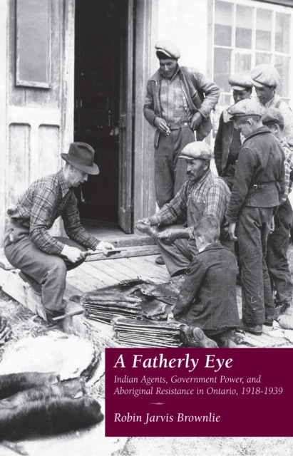 E-kniha Fatherly Eye Robin Brownlie