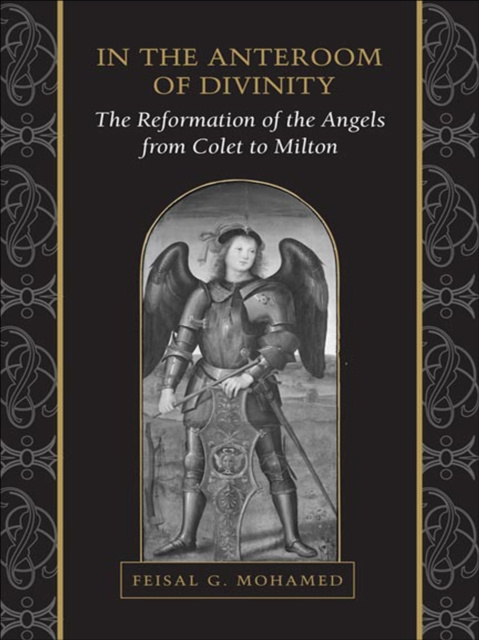 E-book In the Anteroom of Divinity Feisal Mohamed