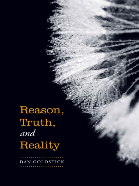 E-knjiga Reason, Truth and Reality Daniel Goldstick