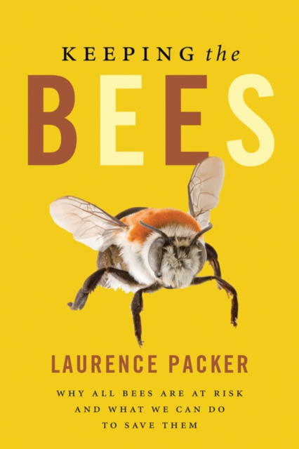 E-book Keeping The Bees Laurence Packer