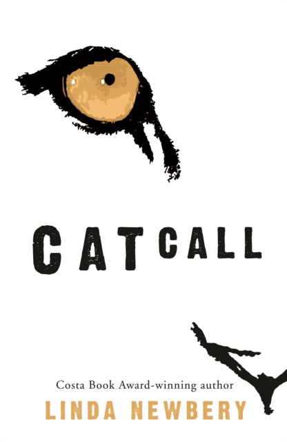 E-knjiga Catcall Linda Newbery