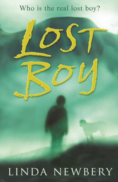 E-kniha Lost Boy Linda Newbery