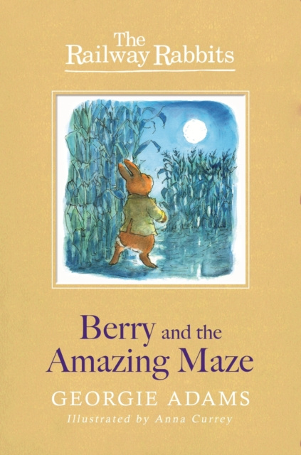 E-knjiga Berry and the Amazing Maze Georgie Adams