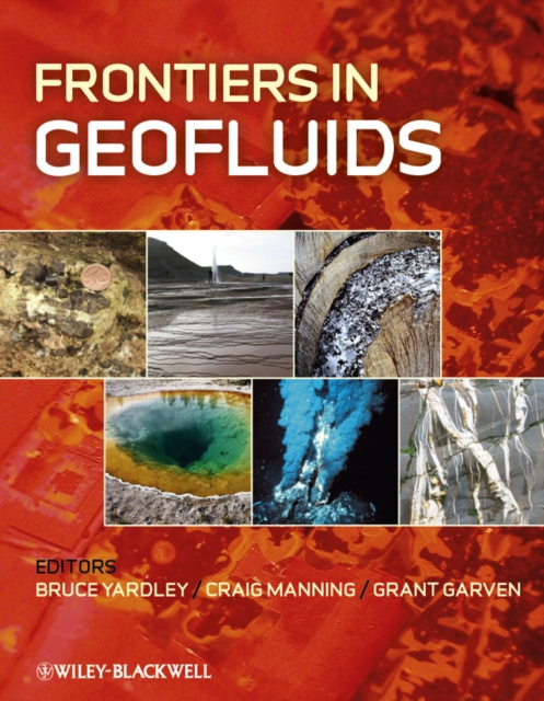 E-knjiga Frontiers in Geofluids Bruce W. D. Yardley