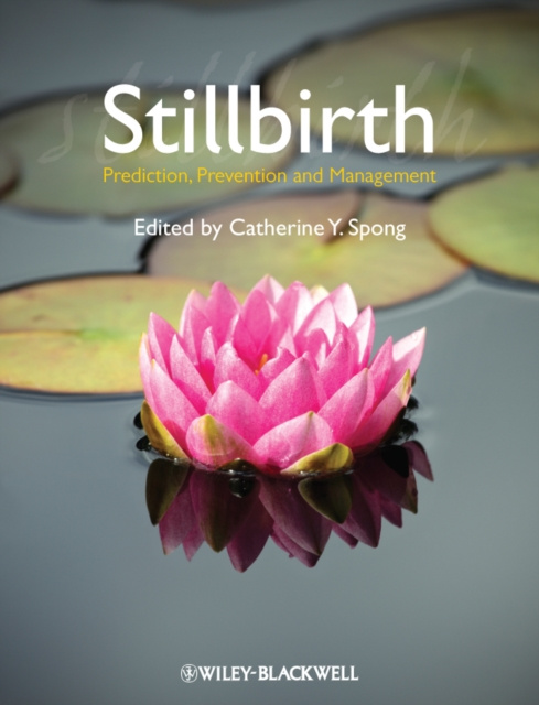 E-knjiga Stillbirth Catherine Y. Spong