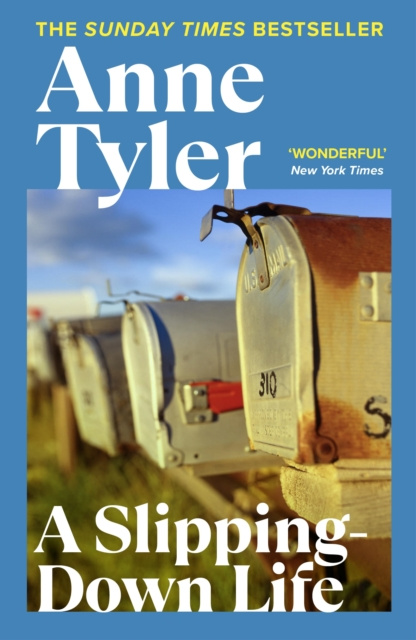 E-knjiga Slipping Down Life Anne Tyler