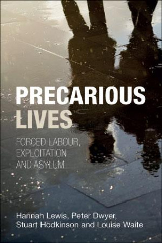 E-book Precarious Lives Hannah Lewis