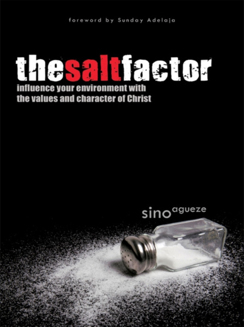 E-knjiga Salt Factor Sino Agueze