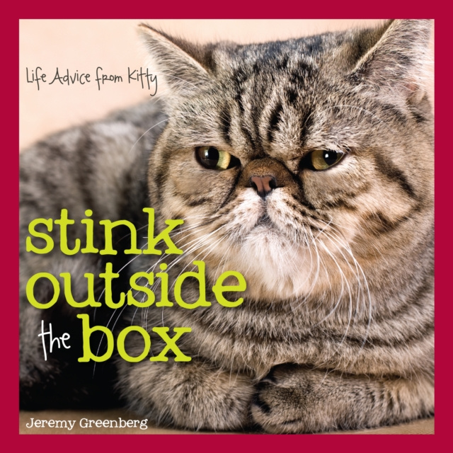 E-kniha Stink Outside the Box Jeremy Greenberg