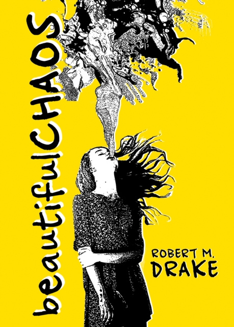 E-kniha Beautiful Chaos Robert M. Drake