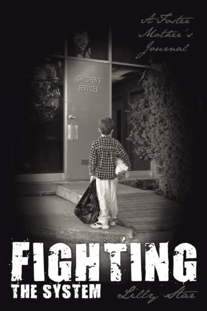 E-book Fighting the System Lilly Star