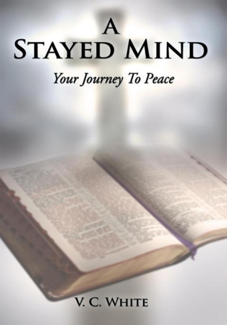 E-knjiga Stayed Mind V. C. White